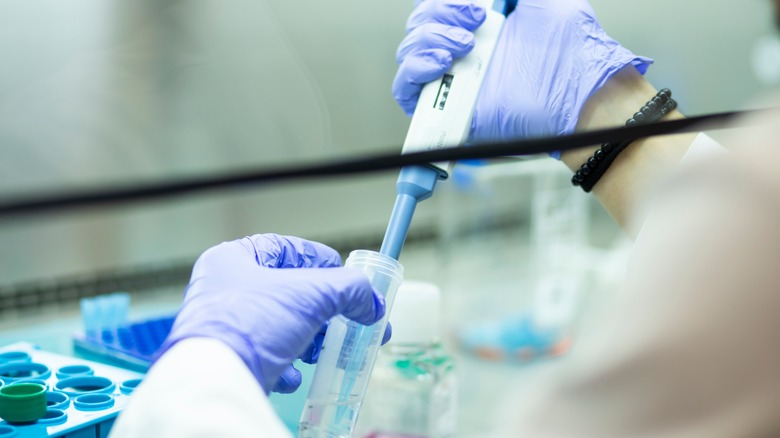 Scientist working with biological toxins
