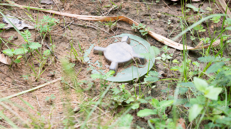A landmine placed on the ground