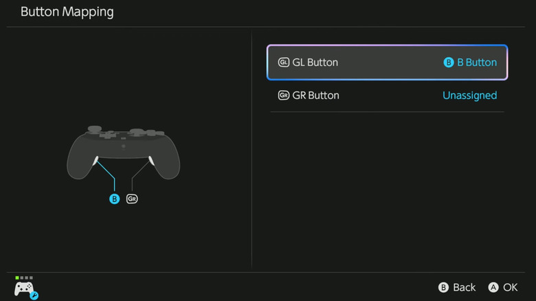 Programming Nintendo Switch 2 Pro controller GL/GR buttons