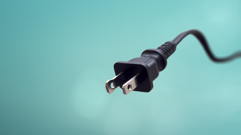 2-pin plug with holes in its prongs