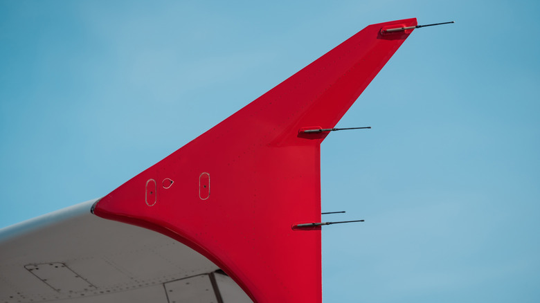Static wicks on an airplane fin