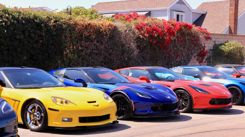 Collection of C6 and C7 Corvettes parked in line, showing front-right 3/4 view