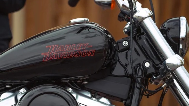 Close up of the Softail Standard tank