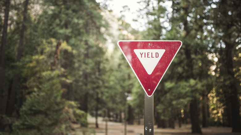 Yield sign with trees in the background