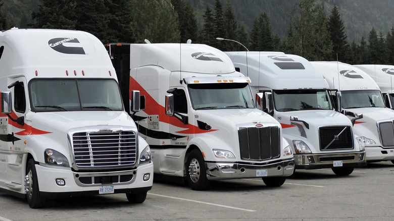 white big rigs with cummins engines lined up at a parking lot