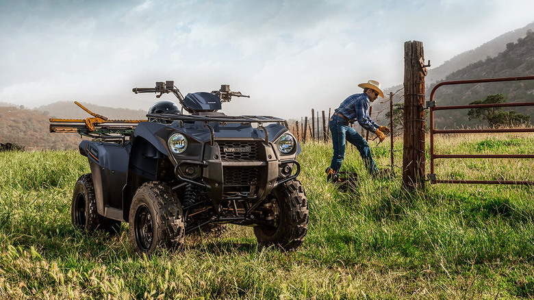 kawasaki brute force 300 in grass