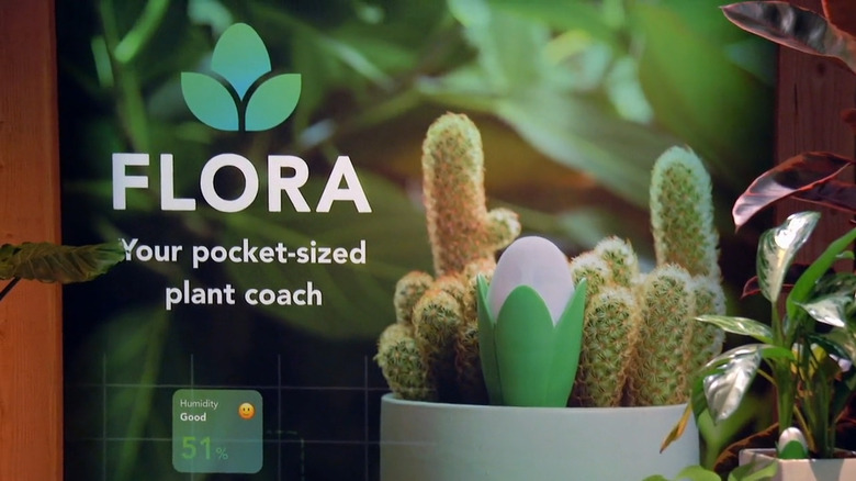 Flora pitch on "Shark Tank"