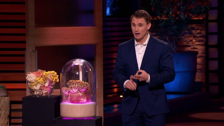 Terrashroom founder talking business on Shark Tank