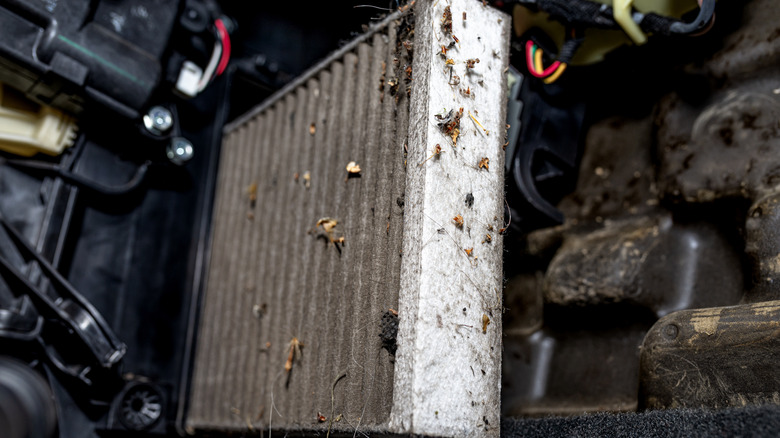 Picture of a dirty cabin air filter