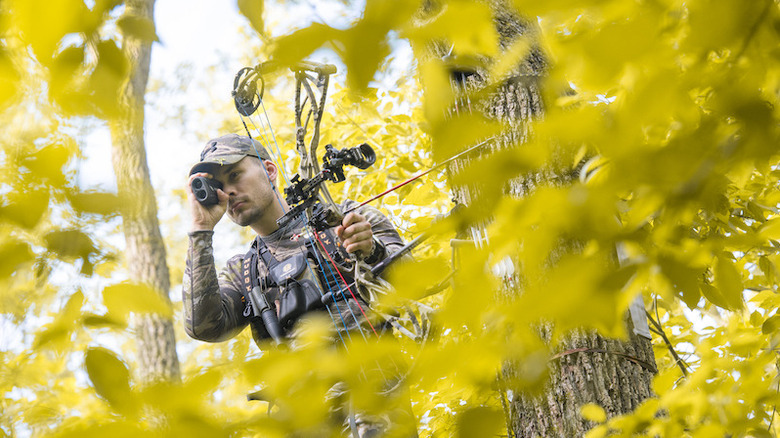 A hunter in the woods using a rangefinder while holding his bow.