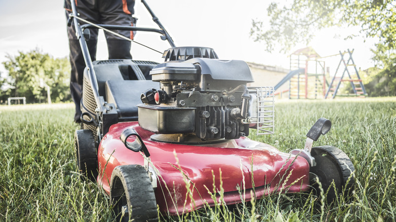 Person pushing gas powered lawn mower