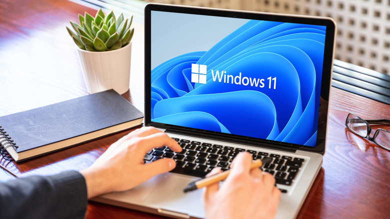 Person on laptop Windows 11