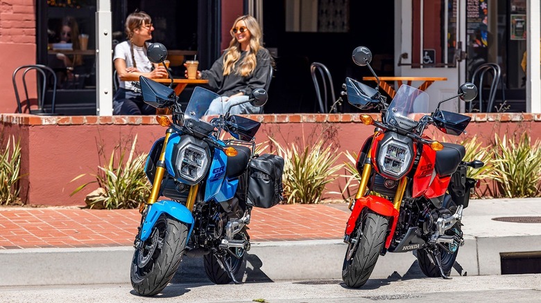 Two Honda Grom mini bikes parked outside a restaurant