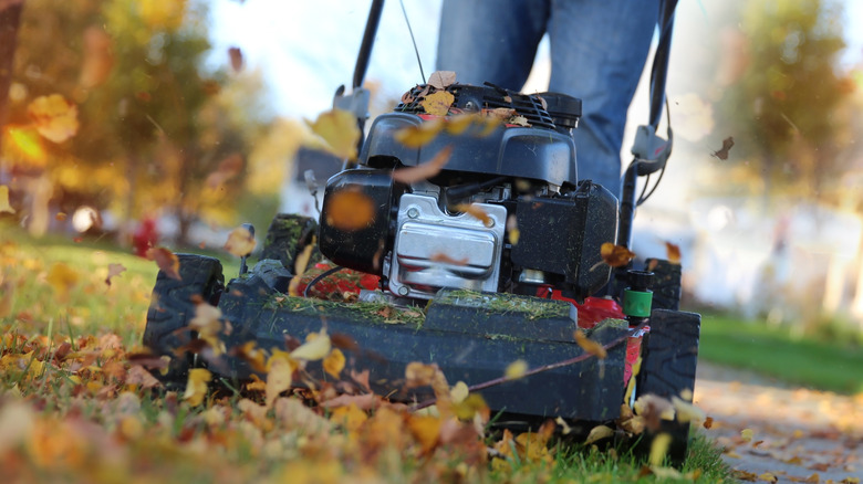 A person mowing their lawn with a push lawn mower.