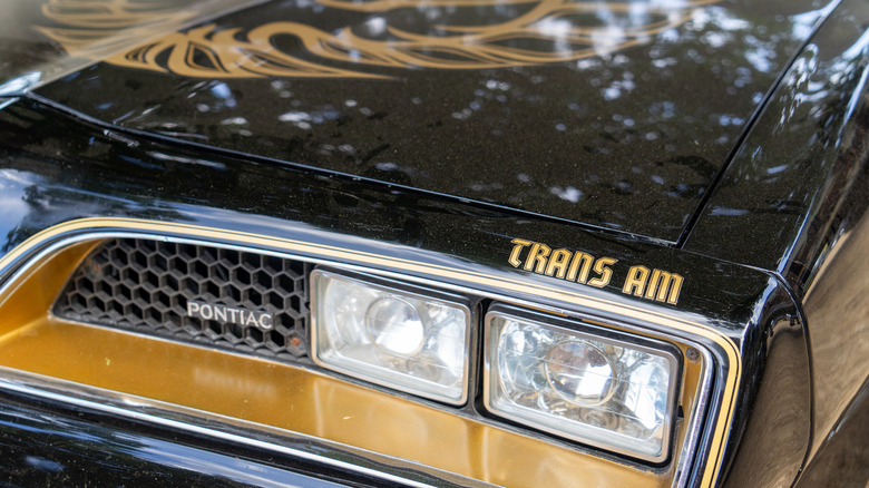 The front end of a black and gold Pontiac Trans Am 