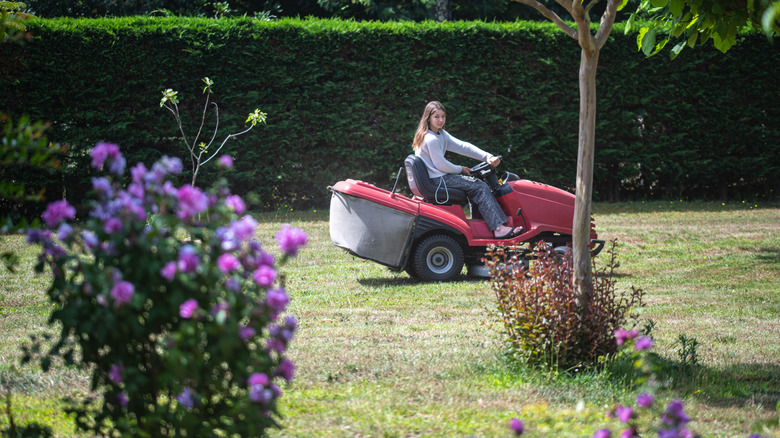 Riding lawn mower in yard with trees and flowers