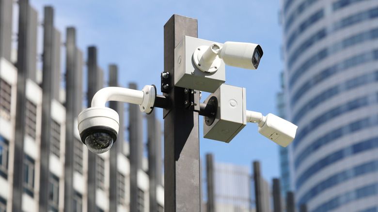 Tree security cameras on pole with building in background.