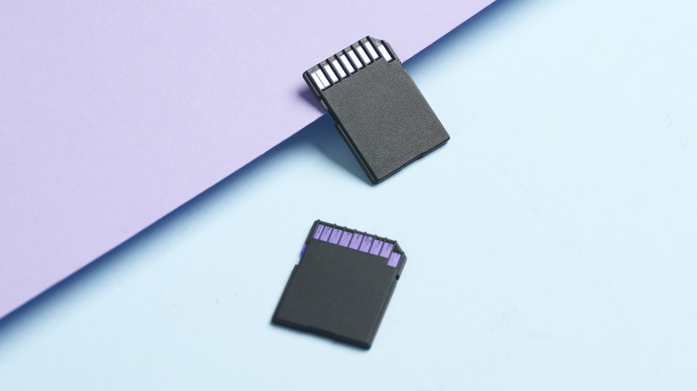 Two sd memory cards on pastel background