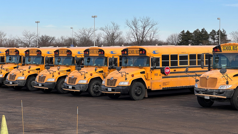 School buses parked on asphalt