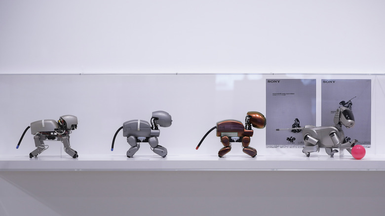 Aibo robot dog evolution