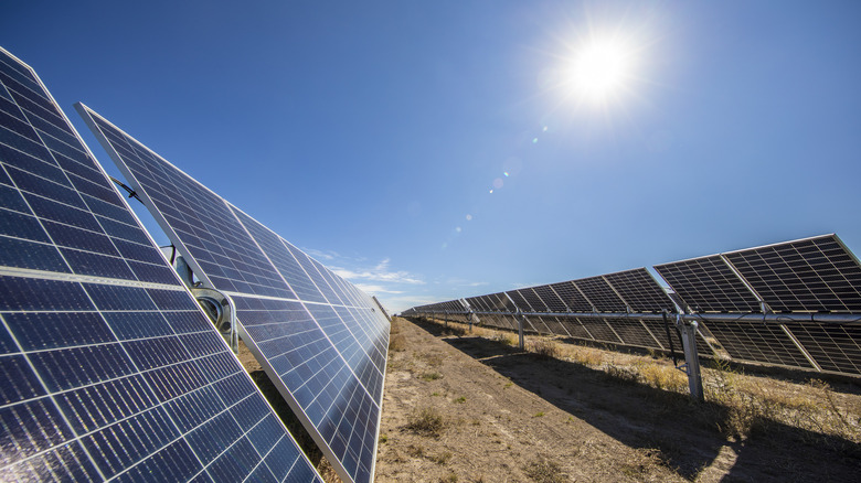 Solar panels underneath the sun.