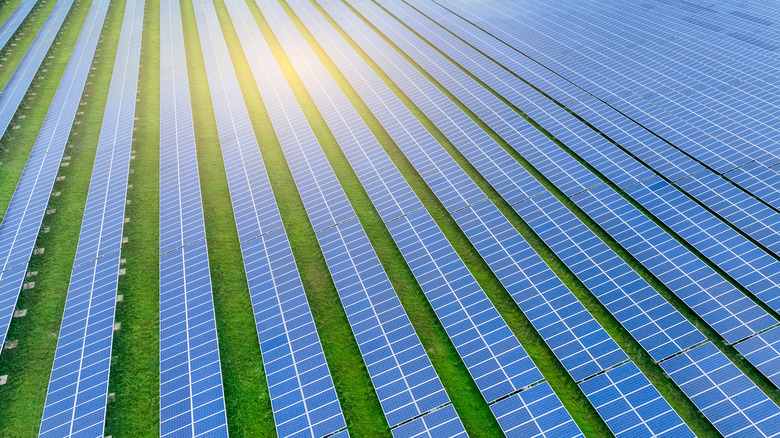 Aerial view of rows of solar panels