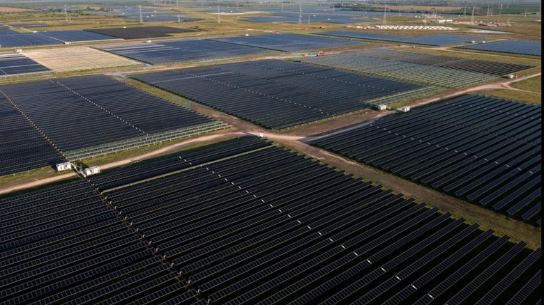 An overview of the Danish Fields solar farm in Texas.