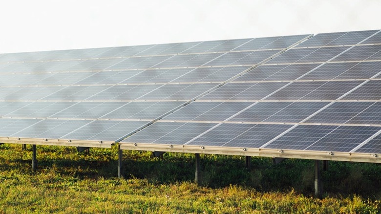 A portion of one of the solar arrays on the 3,900-acre Hornet Solar Farm.