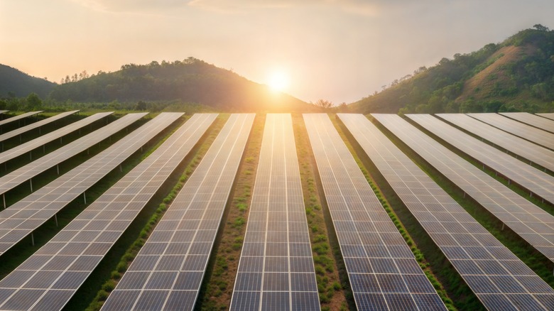 The sun rising over a solar farm