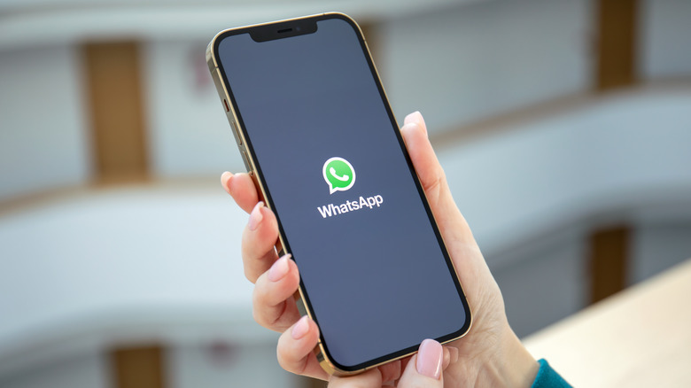 WhatsApp iPhone hand