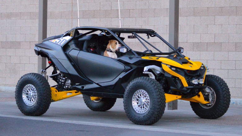 Can-Am Maverick R parked with dog inside it.