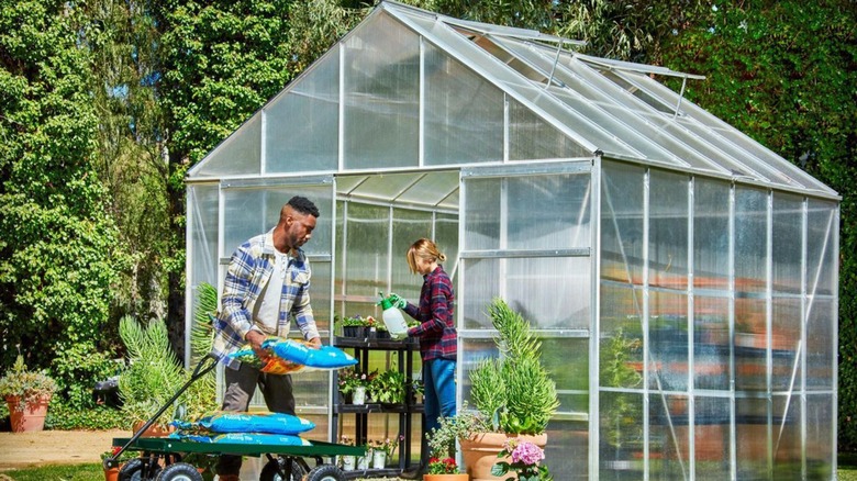 One Stop Gardens 10 x 12 greenhouse