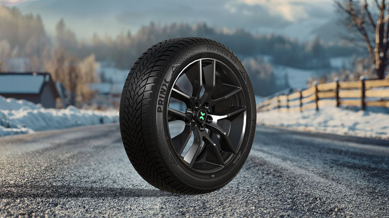 Prinx Winter Excelia