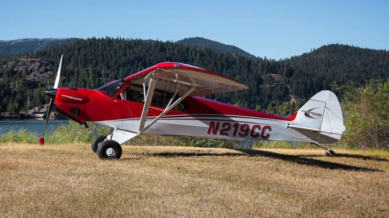 Red and white Carbon Cub parked in grassy clearing