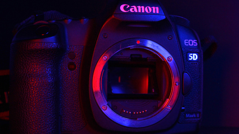 canon 5d without lens