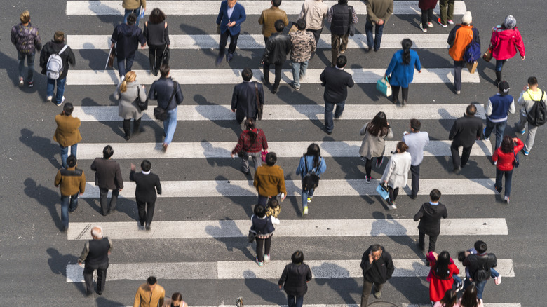 Several people crossing road using zebra crossing