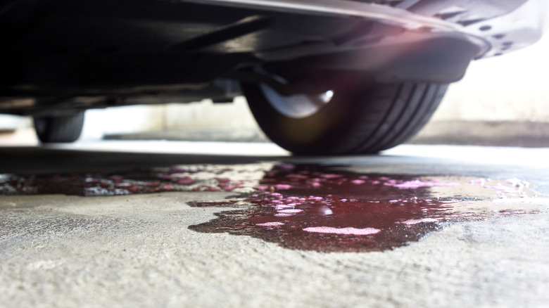 Red fluid leaking from car