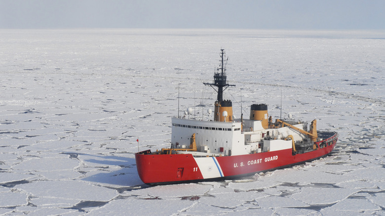 An international research expedition being conducted in the Beaufort Sea aboard the Coast Guard heavy icebreaker ship Polar Sea (WAGB 11) organized and led Naval Research Laboratory Marine Biogeochemistry section.