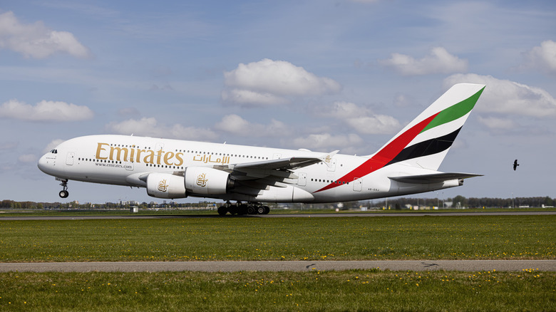 an emirates plane takes off
