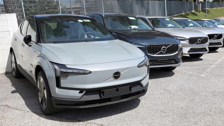 Line of Volvo SUVs parked beside each other