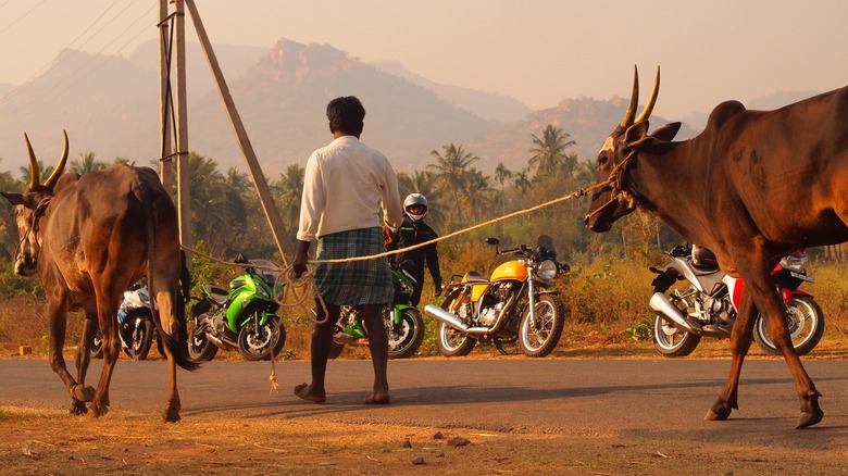 Different motorcycles on the side of the street in Bangalore, India.