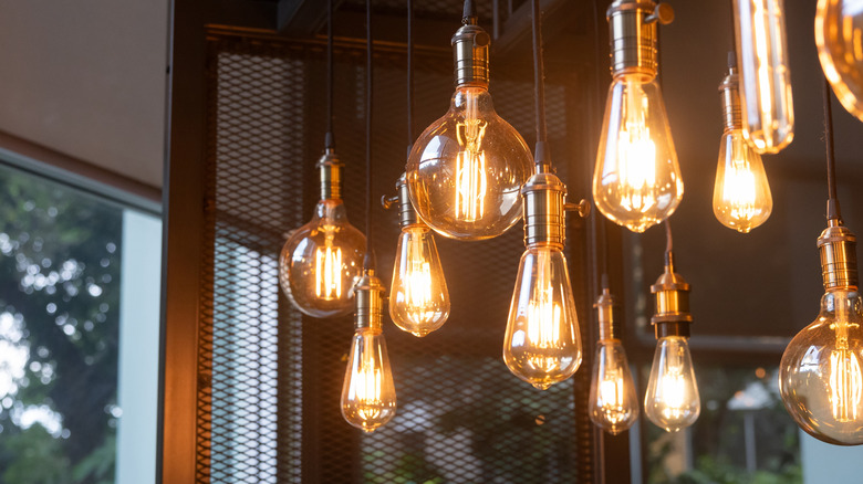 many hanging light bulbs