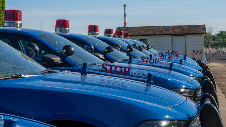 Michigan State Police squad cars lined up.