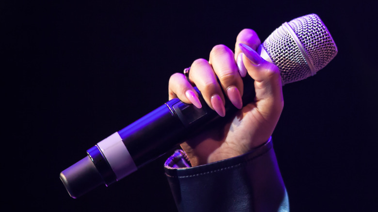 person holding a microphone