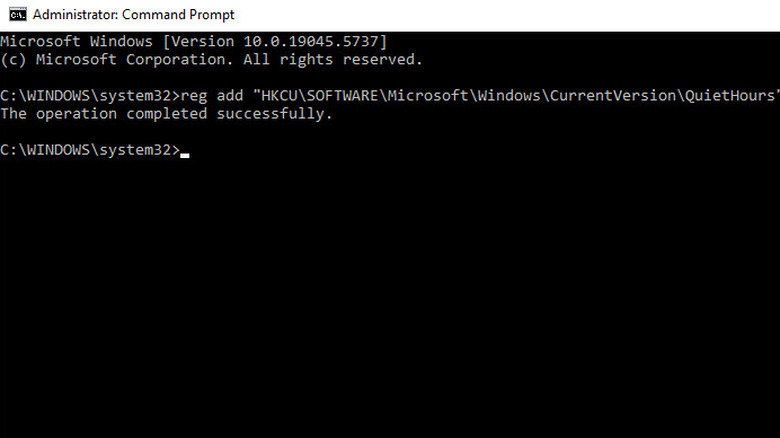 A screenshot of the Command Prompt in Windows 11