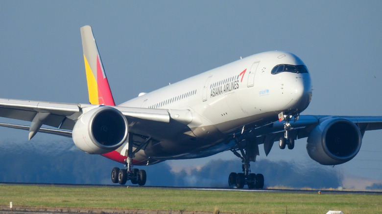 An Airbus A350 landing.