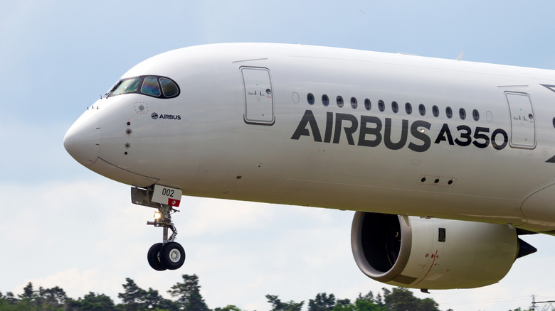 Side view of an Airbus A350 landing.