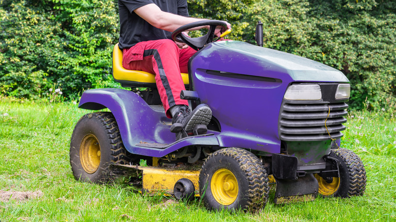 Man mowing lawn with purple riding lawn mower