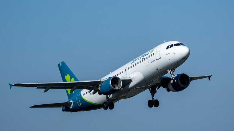An Airbus A320 in flight