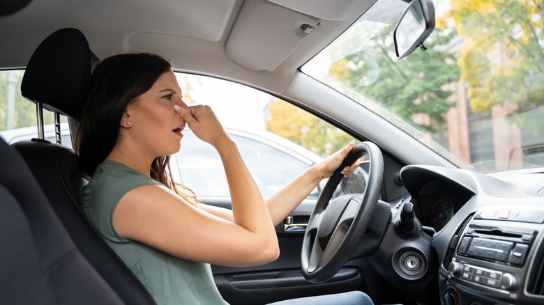 A driver holding her nose due to a smelly car.